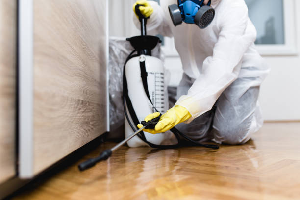 Best Pest Prevention Services  in Galeville, NY