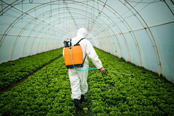 Best Pest Control Cost  in Galeville, NY