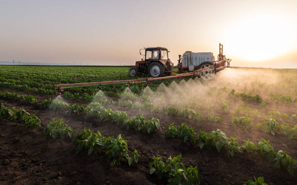 Best Commercial Pest Control Services  in Galeville, NY