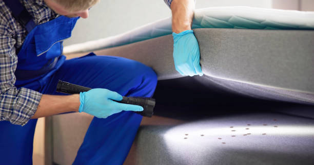 Best Mosquito Control Services  in Galeville, NY